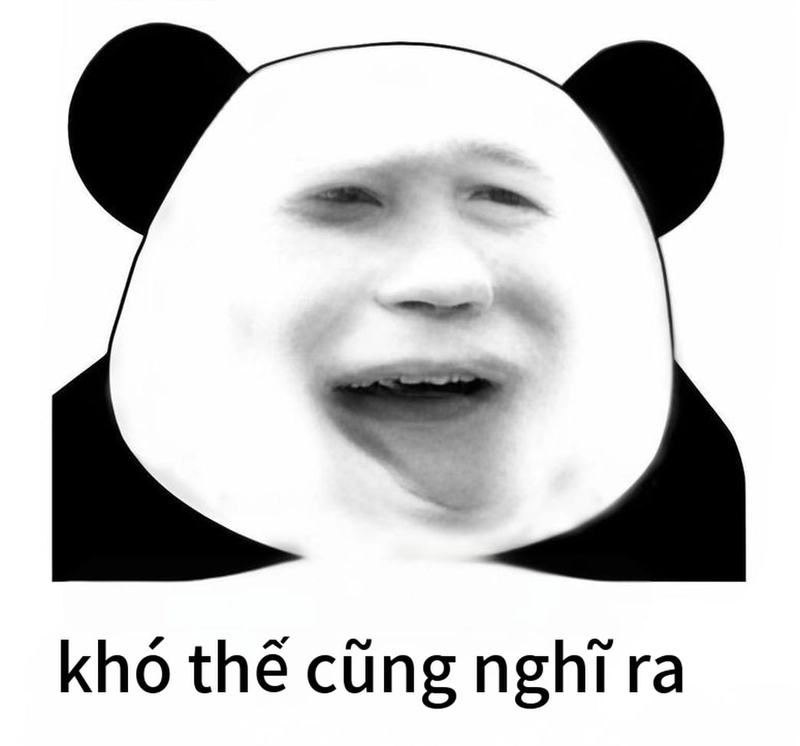 Meme gấu trúc buồn ngủ dễ thương