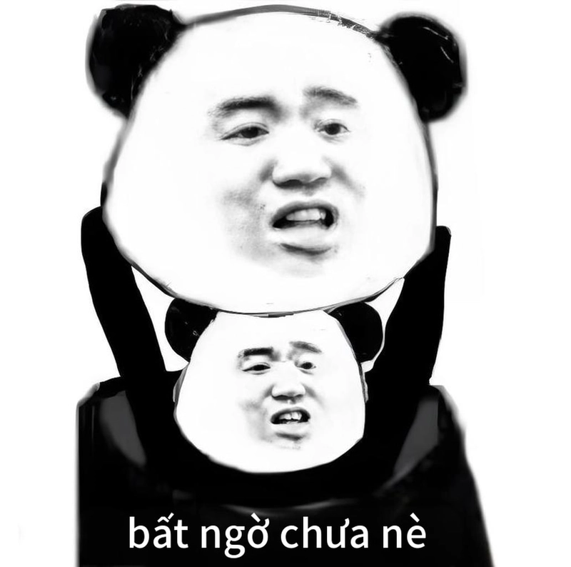 Meme gấu trúc buồn ngủ lầy lội