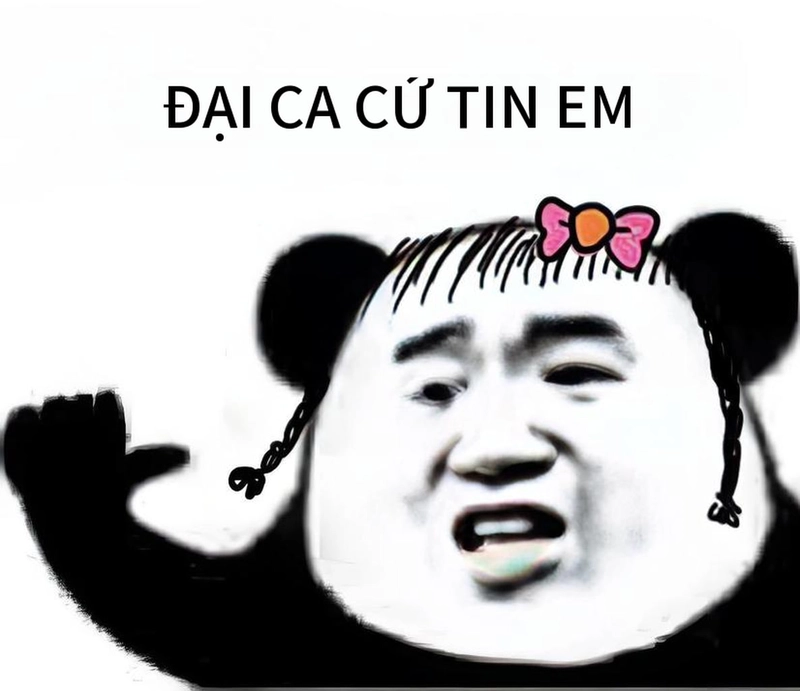 Meme gấu trúc buồn ngủ troll chế