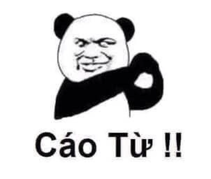 Meme gấu trúc cáo từ dễ thương