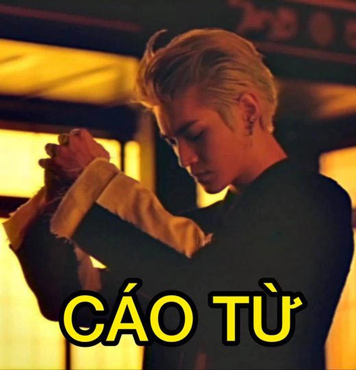 Meme gấu trúc cáo từ vui nhộn
