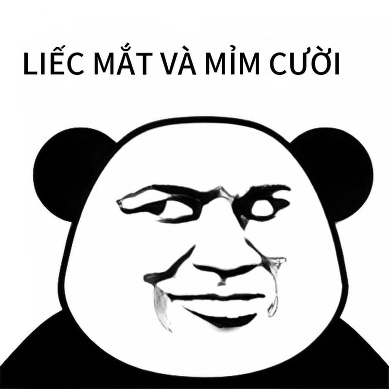 Meme gấu trúc cười đểu cực vui