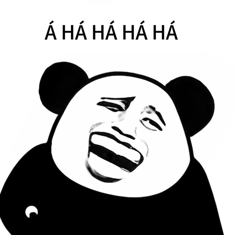 Meme gấu trúc cười đểu dí dỏm