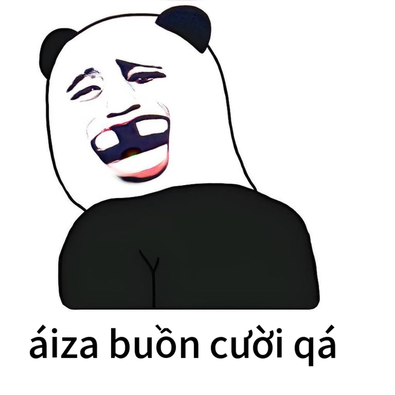 Meme gấu trúc cười đểu khó nhịn