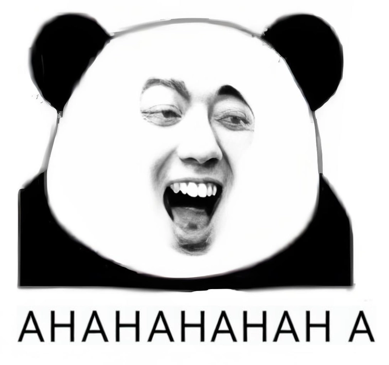 Meme gấu trúc cười hài hước