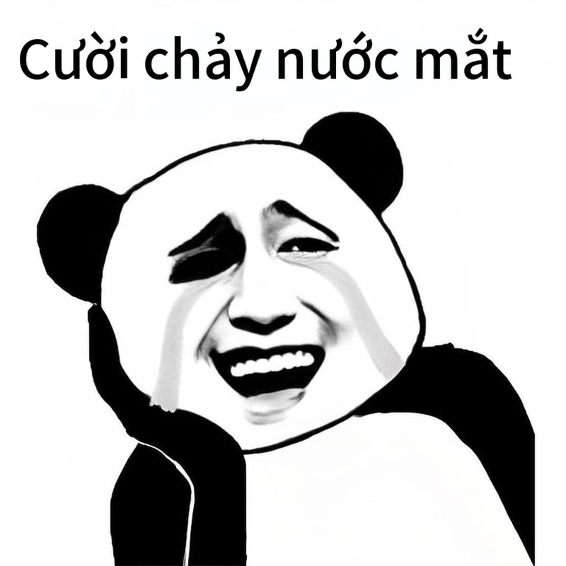 Meme gấu trúc cười hài meme chế