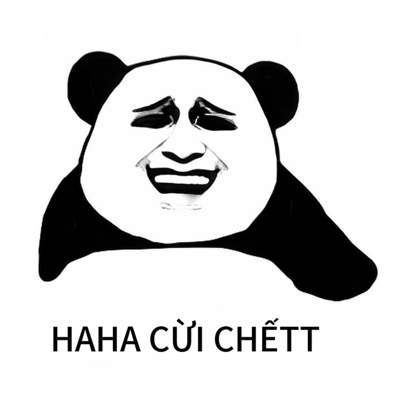 Meme gấu trúc cười troll bạn bè