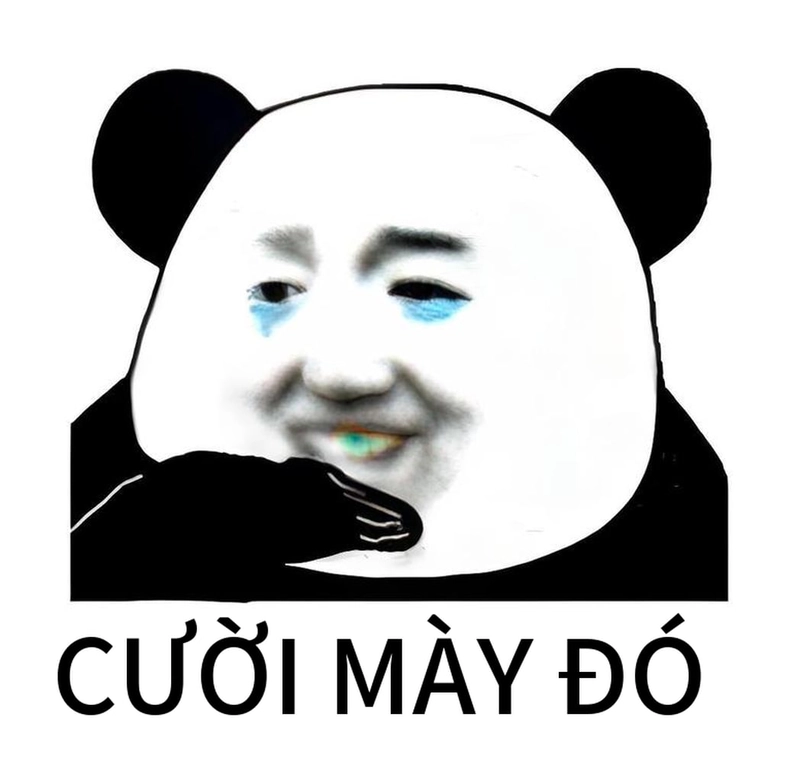 Meme gấu trúc cười xỉu ngang