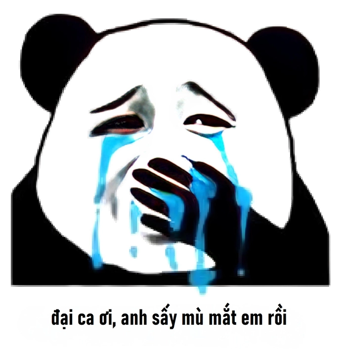 Meme gấu trúc khóc châm biếm