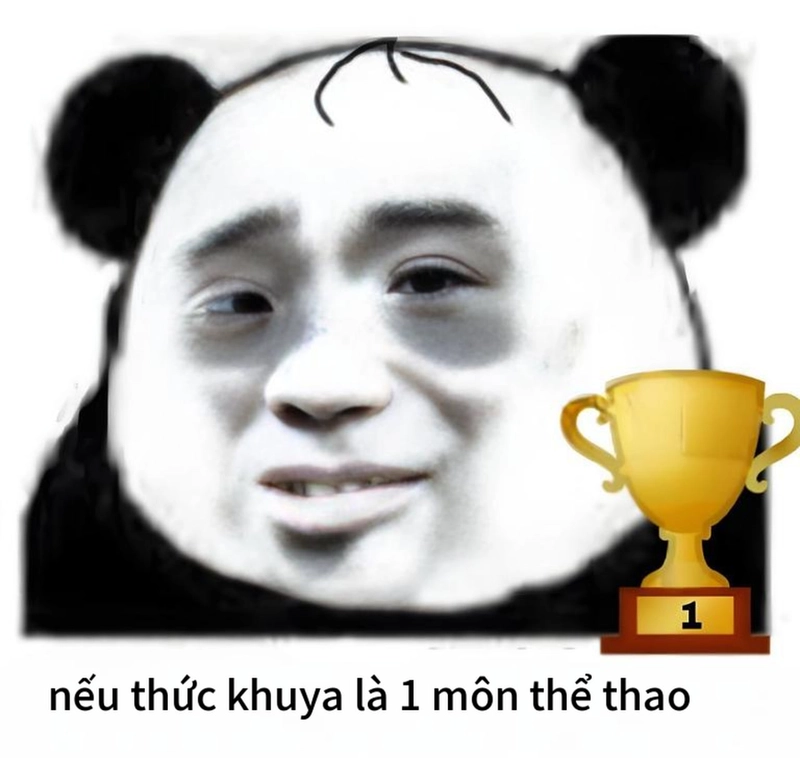 Meme gấu trúc mất ngủ chế hài