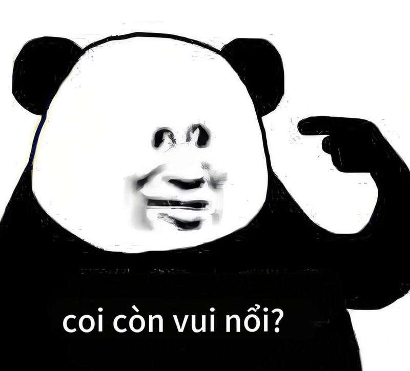 Meme gấu trúc mất ngủ hài hước