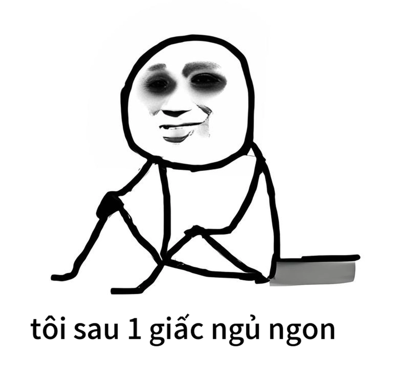 Meme gấu trúc mất ngủ troll bá đạo