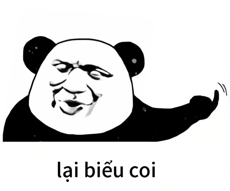 Meme gấu trúc mất ngủ vui nhộn