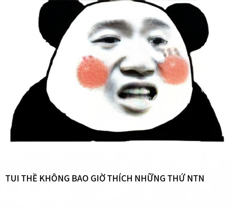 Meme gấu trúc mắt thâm chế cười