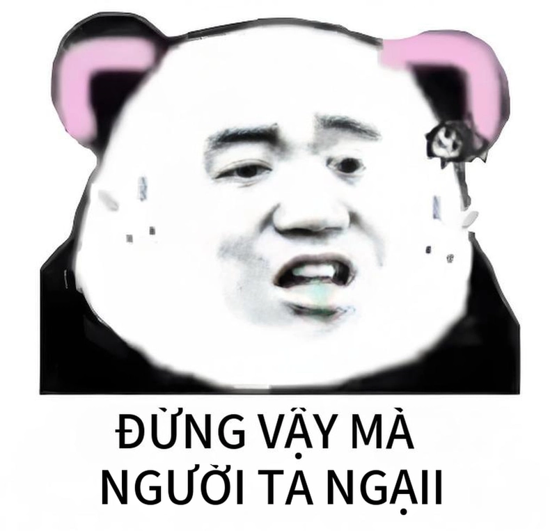Meme gấu trúc mắt thâm chế troll