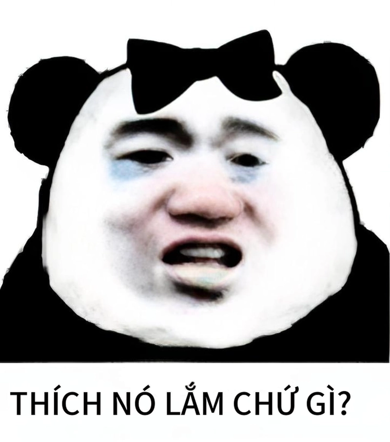 Meme gấu trúc mắt thâm hài hước
