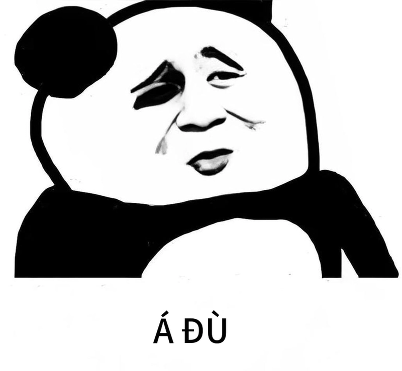 Meme gấu trúc mệt mỏi hài hước