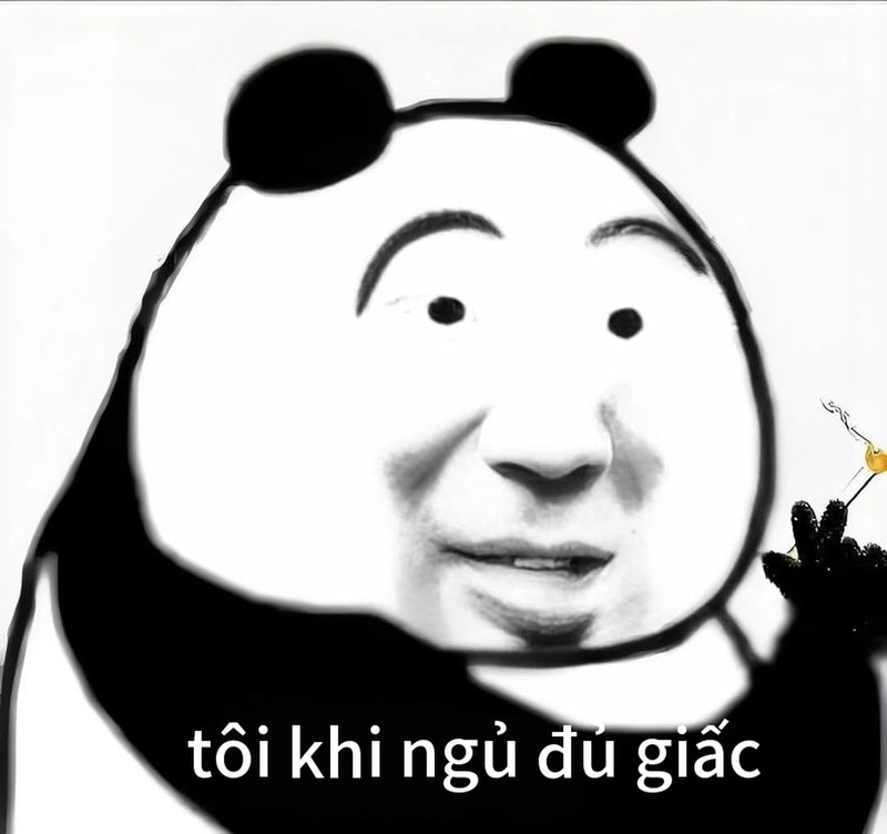 Meme gấu trúc mệt mỏi siêu hài