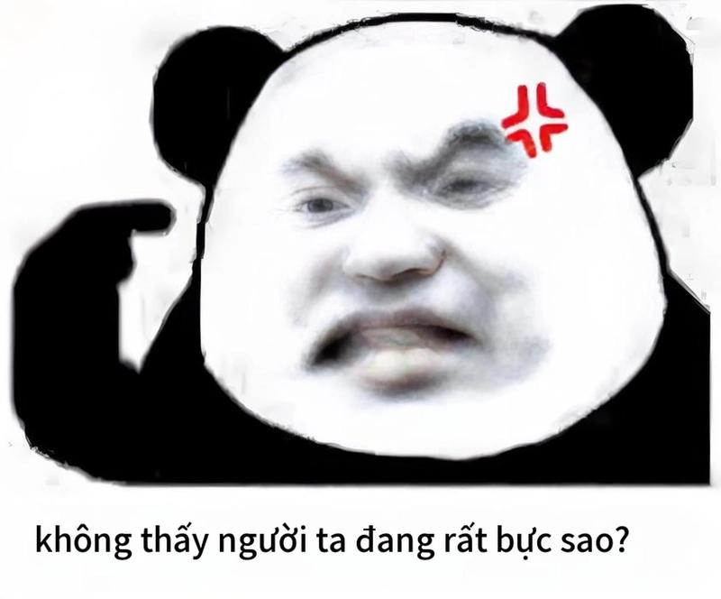 Meme gấu trúc mệt mỏi troll vui