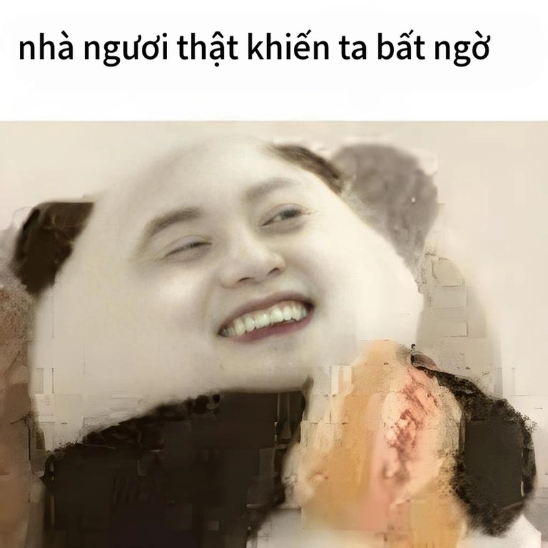 Meme gấu trúc ngạc nhiên chế hài