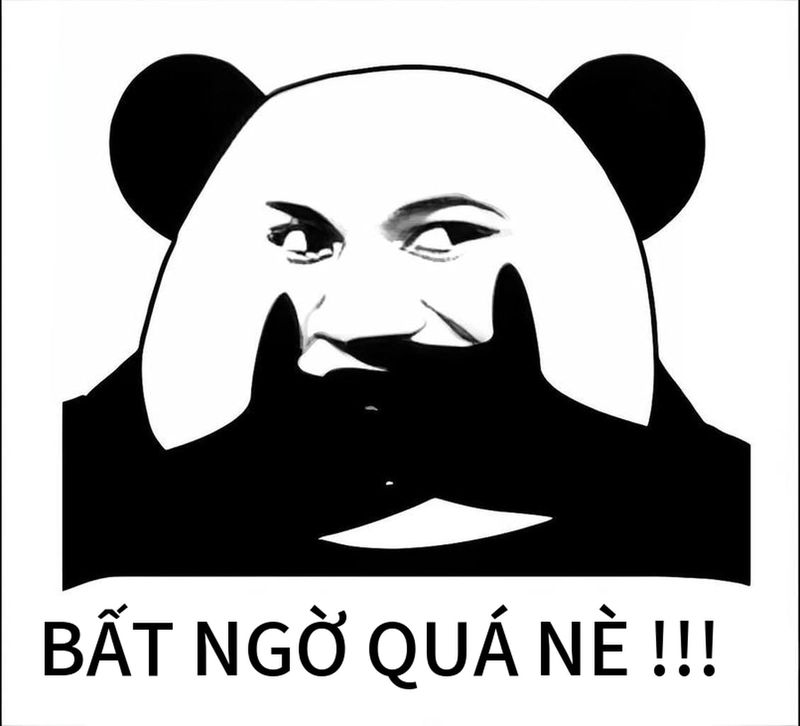 Meme gấu trúc ngạc nhiên cực bựa