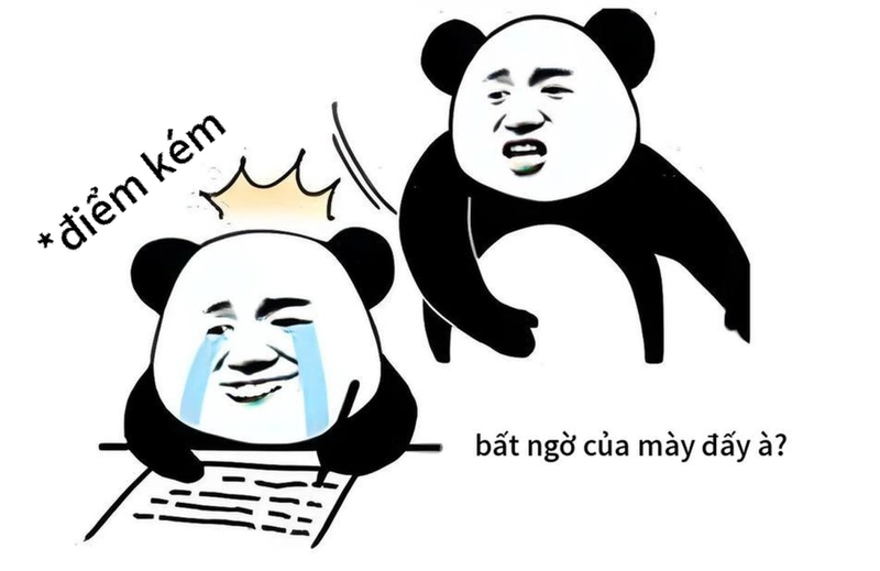 Meme gấu trúc ngạc nhiên dễ thương