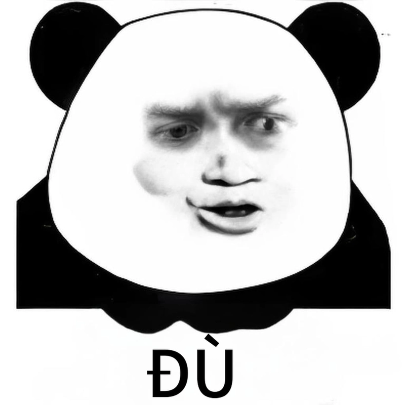 Meme gấu trúc ngạc nhiên hài chế