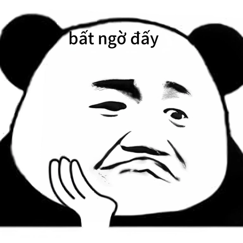 Meme gấu trúc ngạc nhiên hài độc đáo