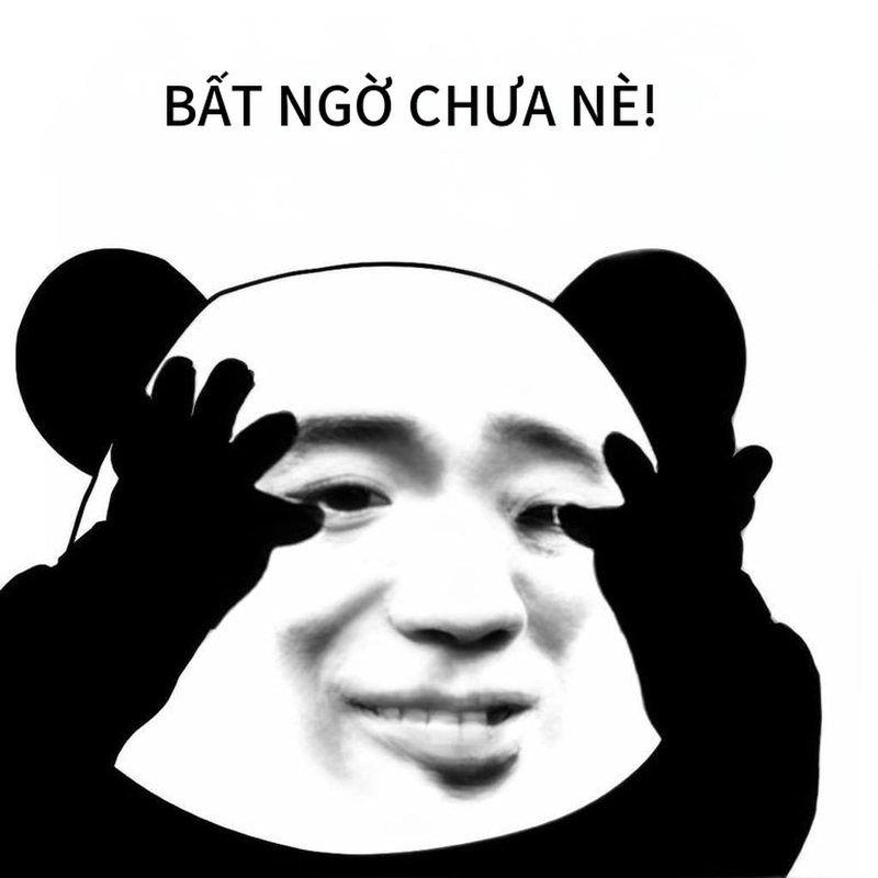 Meme gấu trúc ngạc nhiên hài khó đỡ