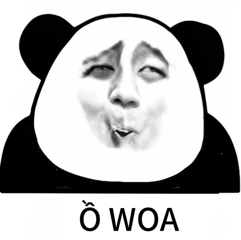 Meme gấu trúc ngạc nhiên lầy lội