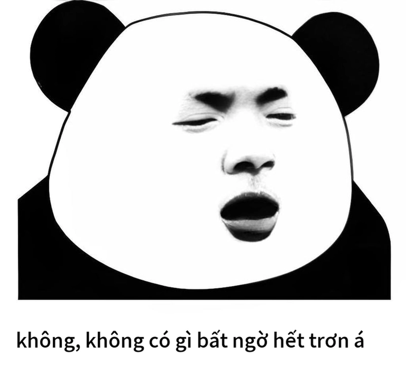 Meme gấu trúc ngạc nhiên vui nhộn