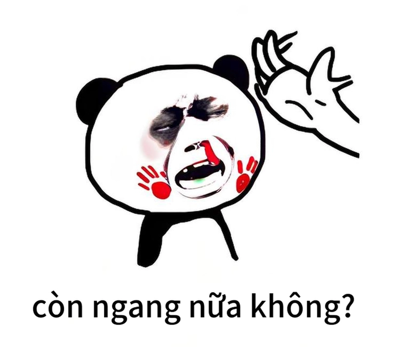 Meme gấu trúc ngang ngược chất chơi