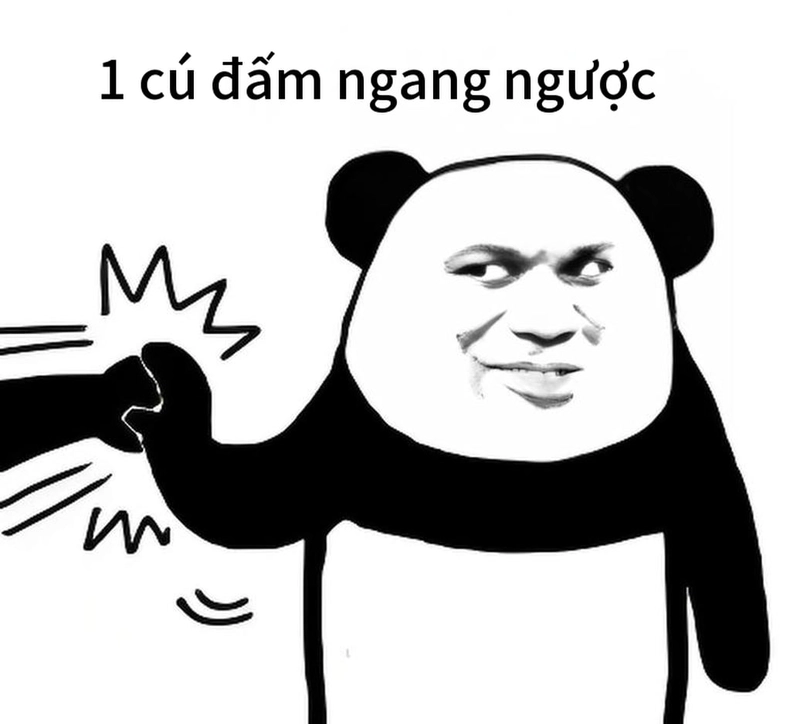 Meme gấu trúc ngang ngược cười xỉu