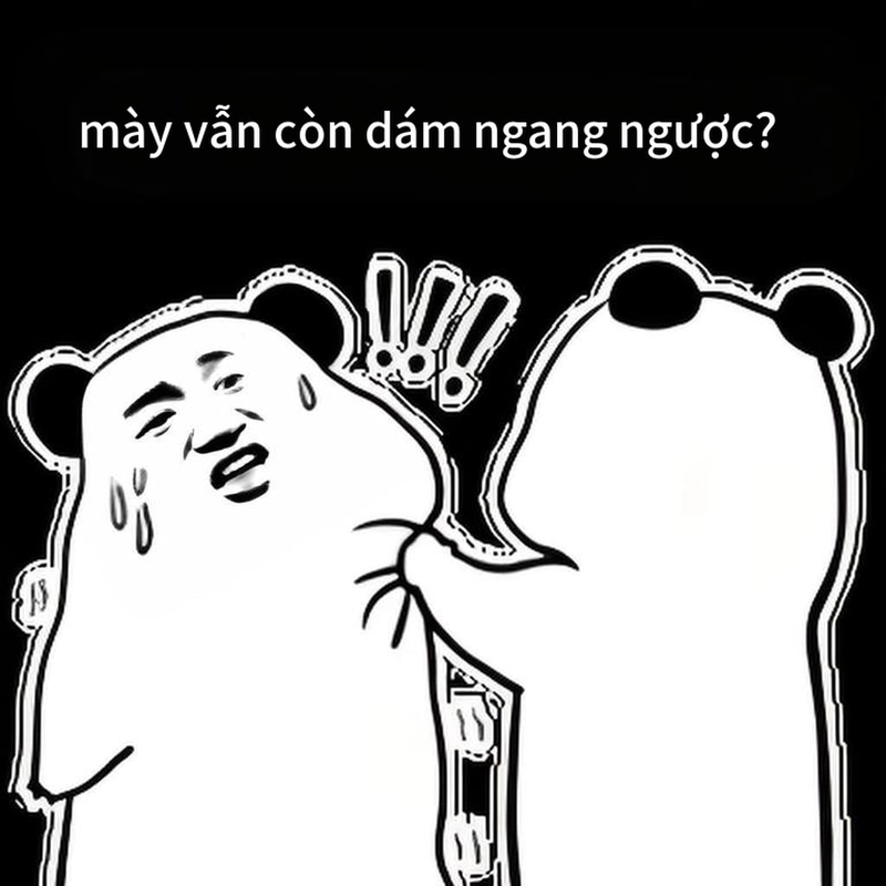 Meme gấu trúc ngang ngược hài lầy lội