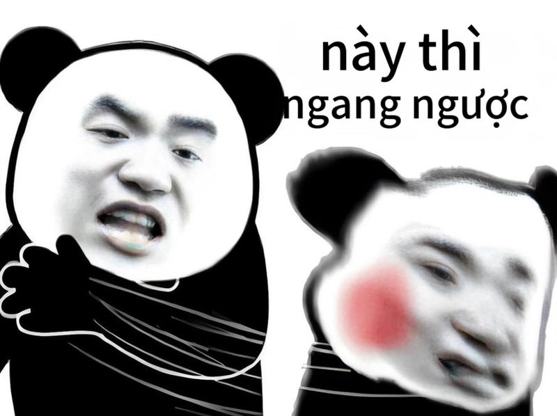Meme gấu trúc ngang ngược lầy lội