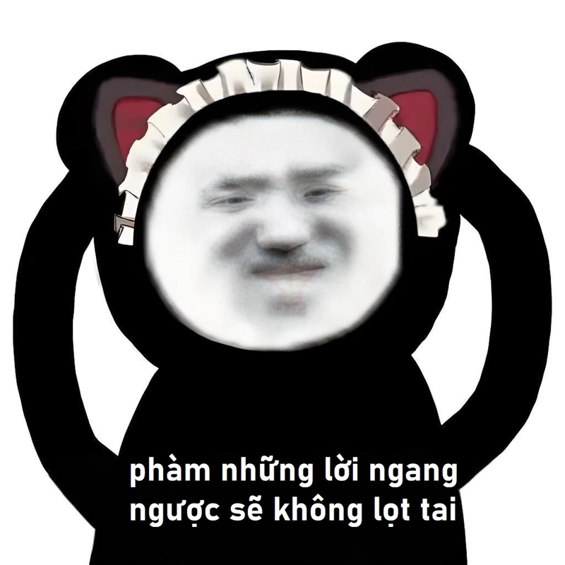 Meme gấu trúc ngang ngược siêu bá đạo