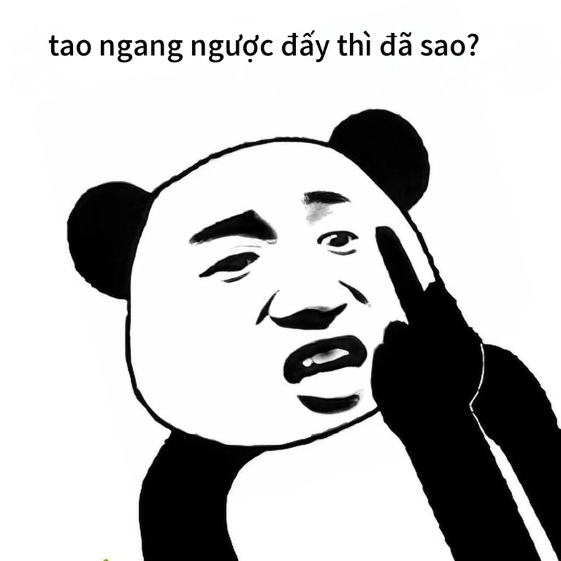 Meme gấu trúc ngang ngược siêu lầy