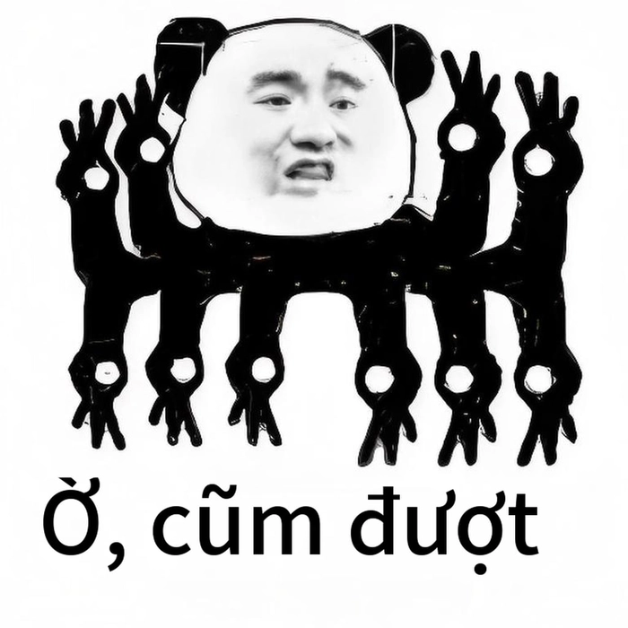 Meme gấu trúc ok vui nhộn