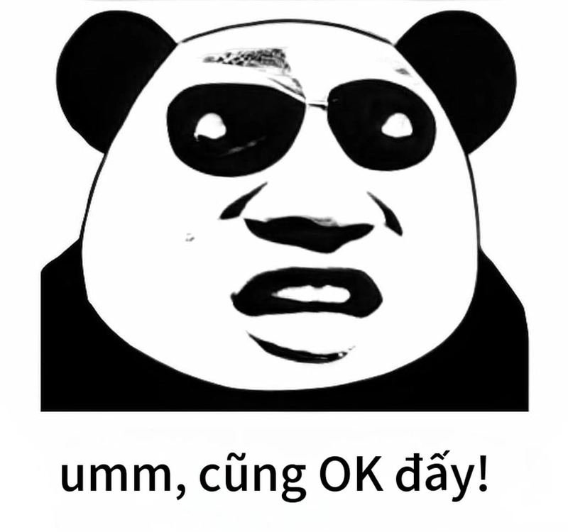 Meme gấu trúc thức khuya bá đạo
