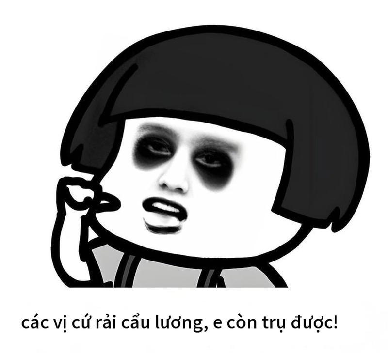 Meme gấu trúc thức khuya buồn ngủ