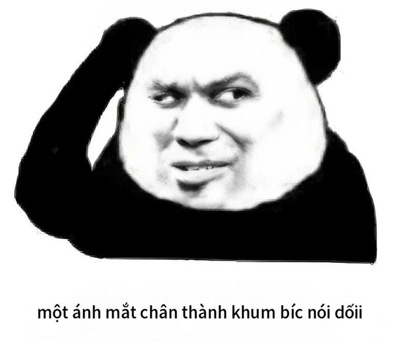 Meme gấu trúc thức khuya chế ảnh