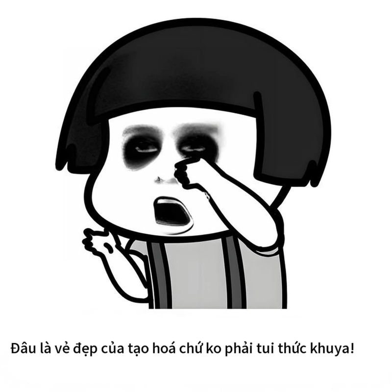 Meme gấu trúc thức khuya hài hước
