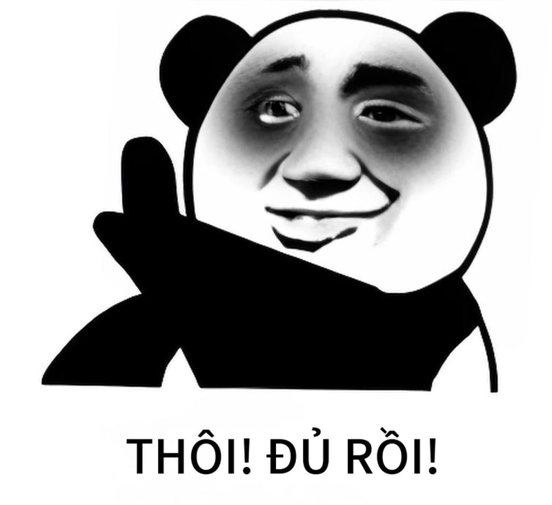 Meme gấu trúc thức khuya troll vui
