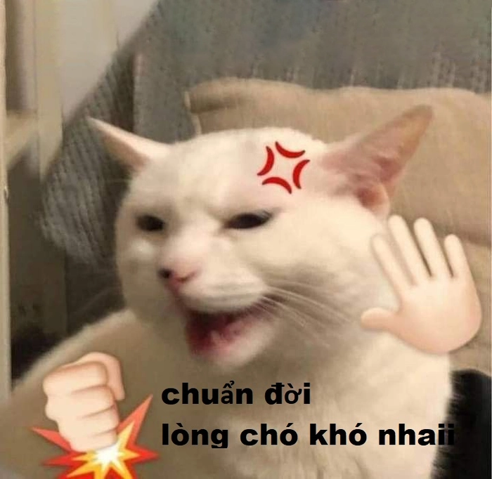 Meme lòng chó khó nhai hot trend