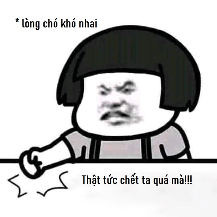Meme lòng chó khó nhai lầy lội