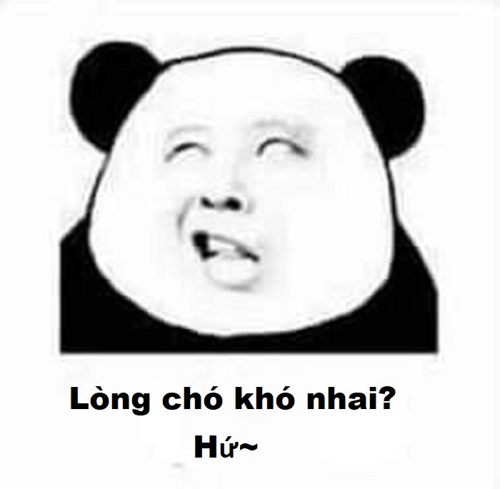 Meme lòng chó khó nhai mới nhất