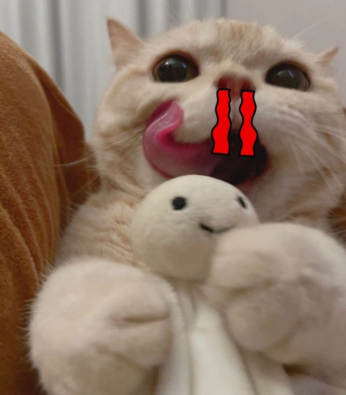 Meme mèo chảy máu cam dễ thương