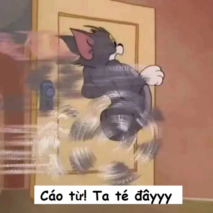 Xin cáo từ meme hài hước