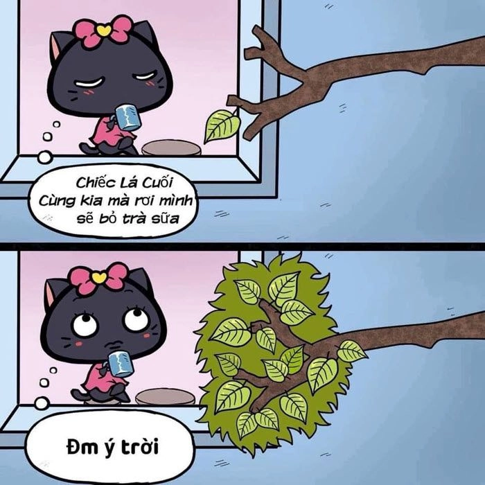 Ý trời meme hài bựa