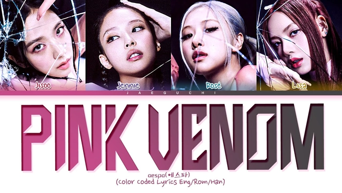 lời bài hát pink venom
